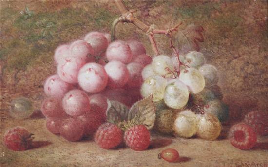 Charles Archer (1813-1862) Still life of grapes, raspberries and a rosehip 5.5 x 8.75in.